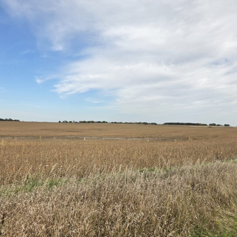 80 +/- Acres – Roberts County, SD