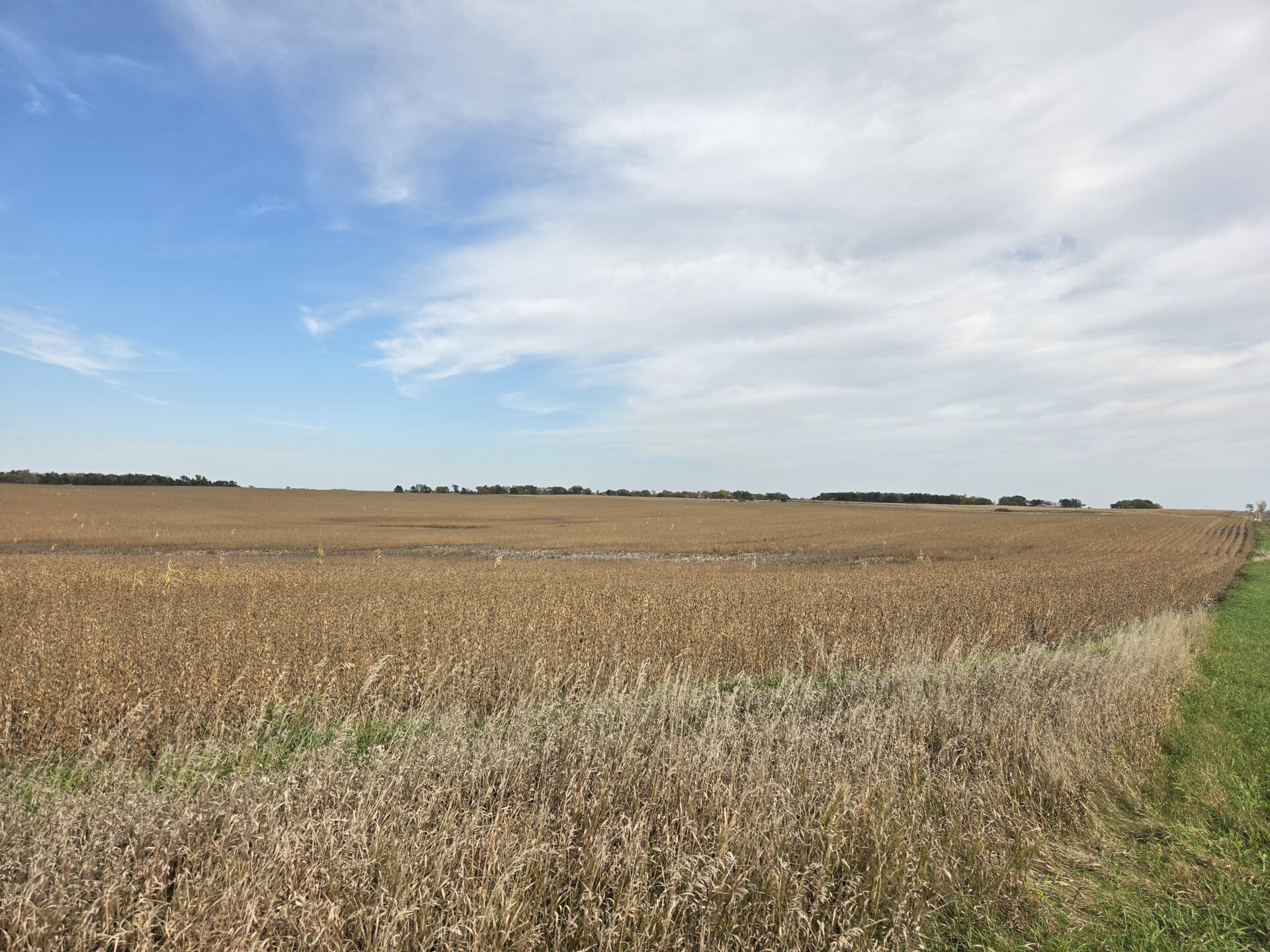 80 +/- Acres – Roberts County, SD