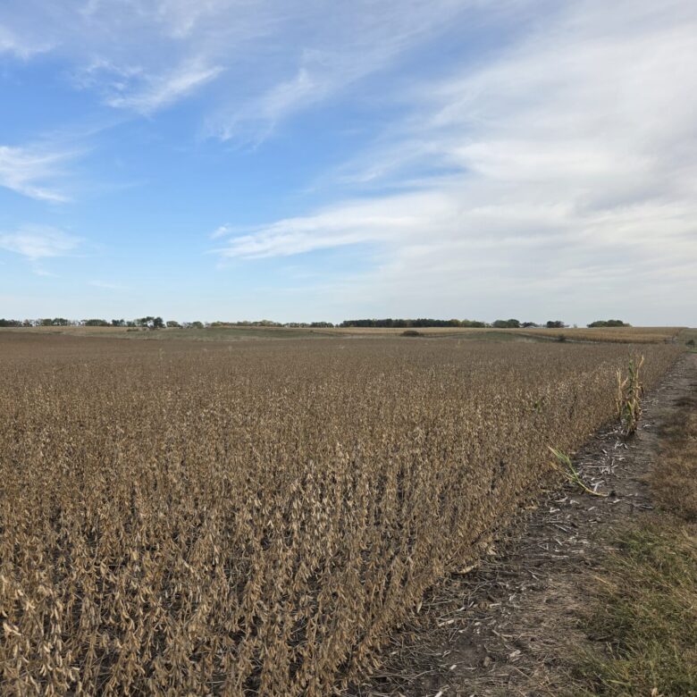 80 +/- Acres – Roberts County, SD