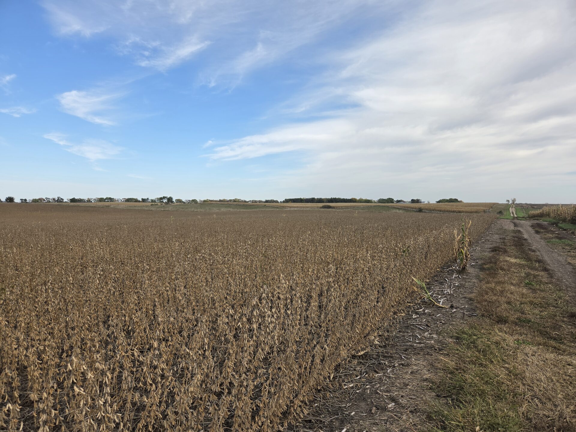 80 +/- Acres – Roberts County, SD