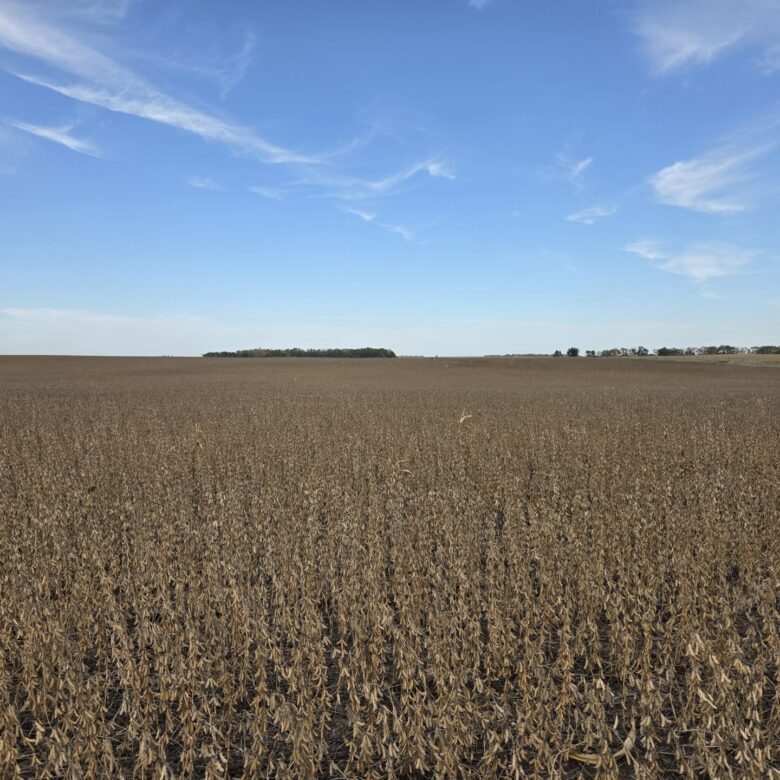 80 +/- Acres – Roberts County, SD