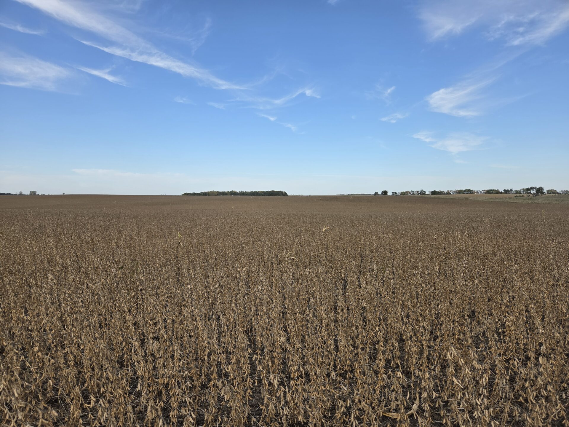 80 +/- Acres – Roberts County, SD