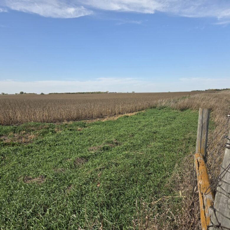 80 +/- Acres – Roberts County, SD