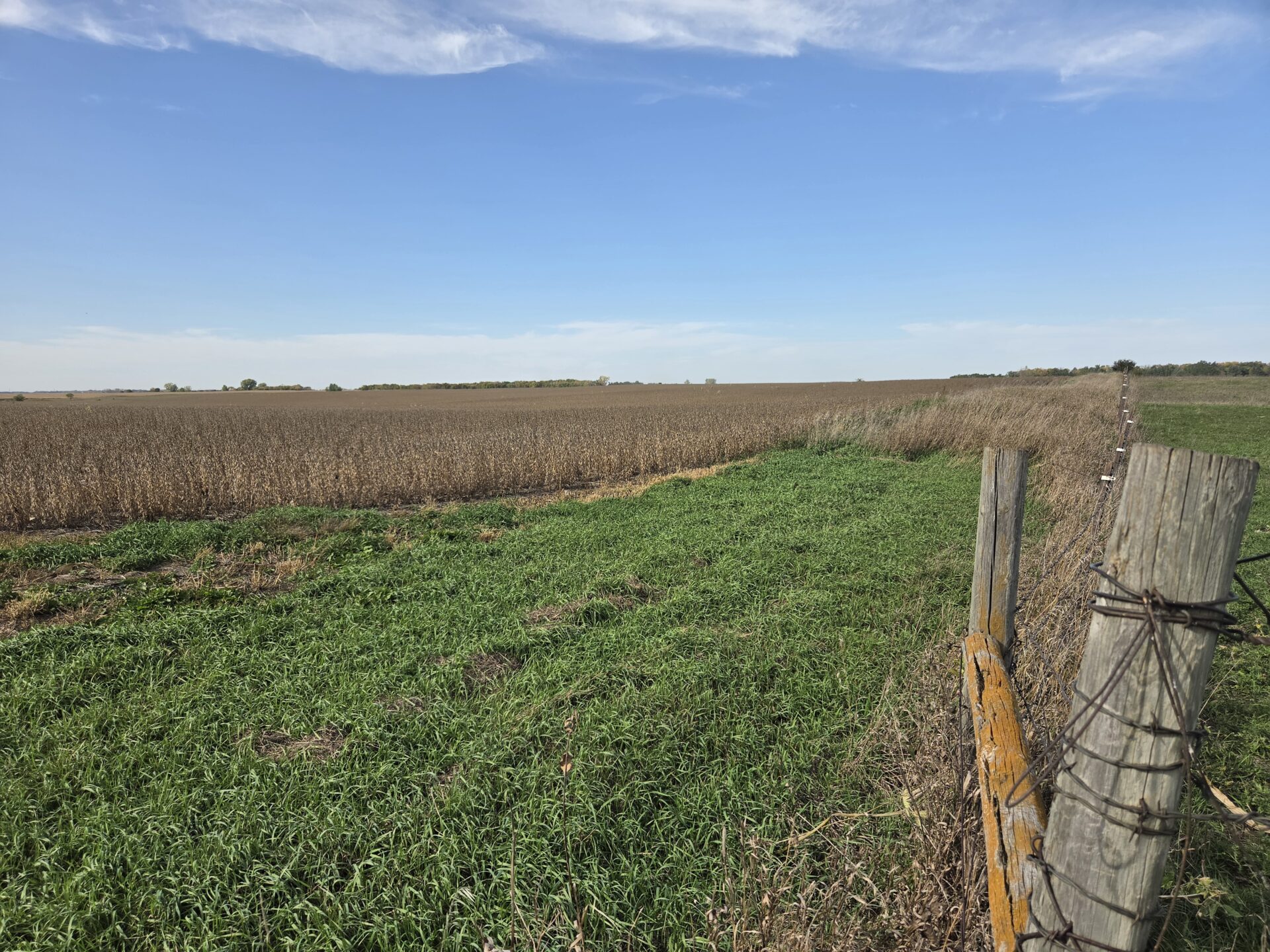 80 +/- Acres – Roberts County, SD