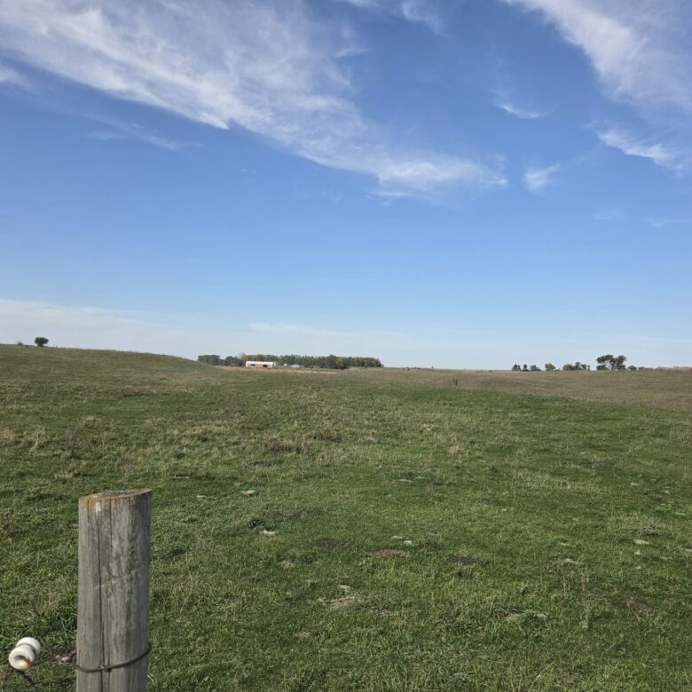 80 +/- Acres – Roberts County, SD
