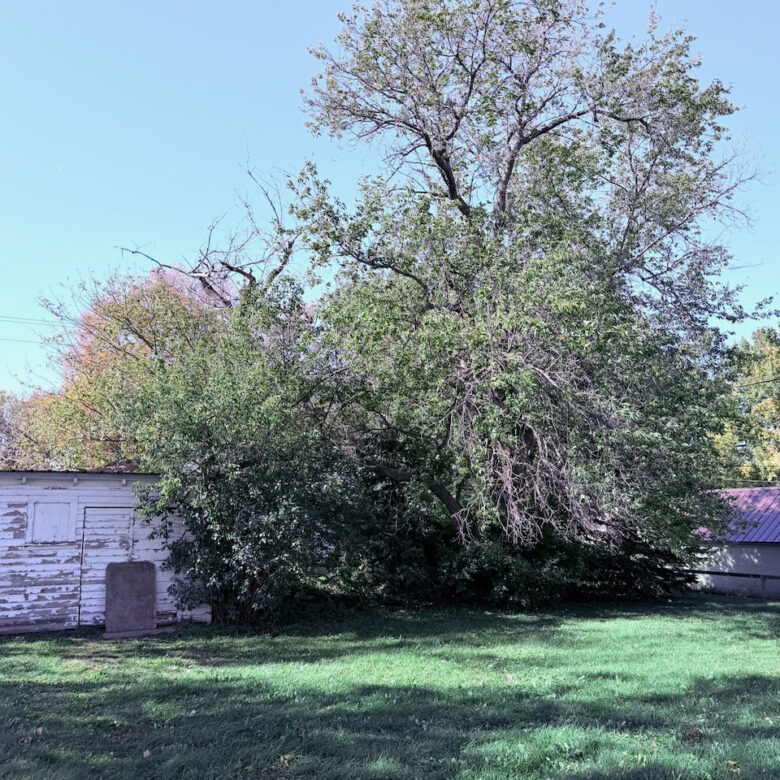 503 West 2nd Street – Webster, SD