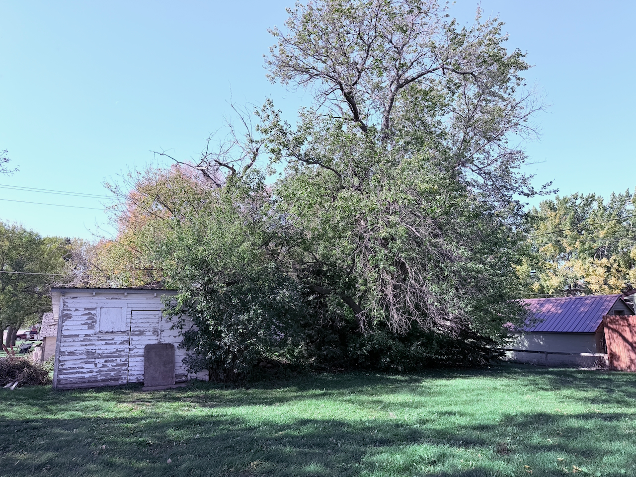 503 West 2nd Street – Webster, SD