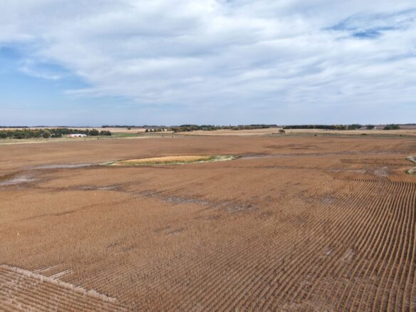 80 +/- Acres – Roberts County, SD