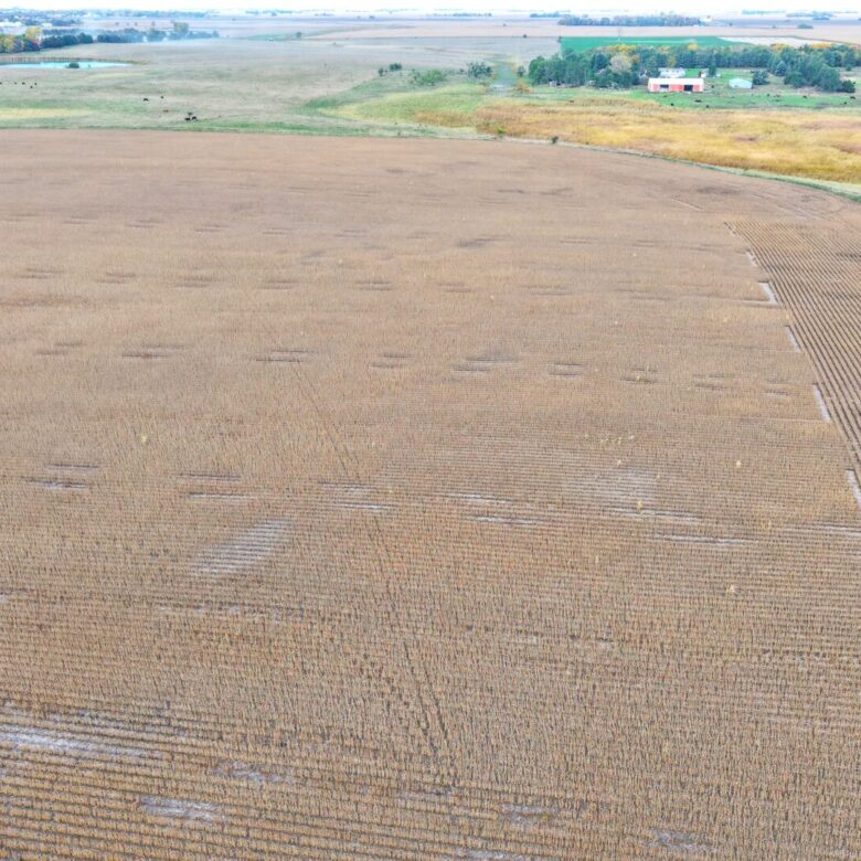80 +/- Acres – Roberts County, SD