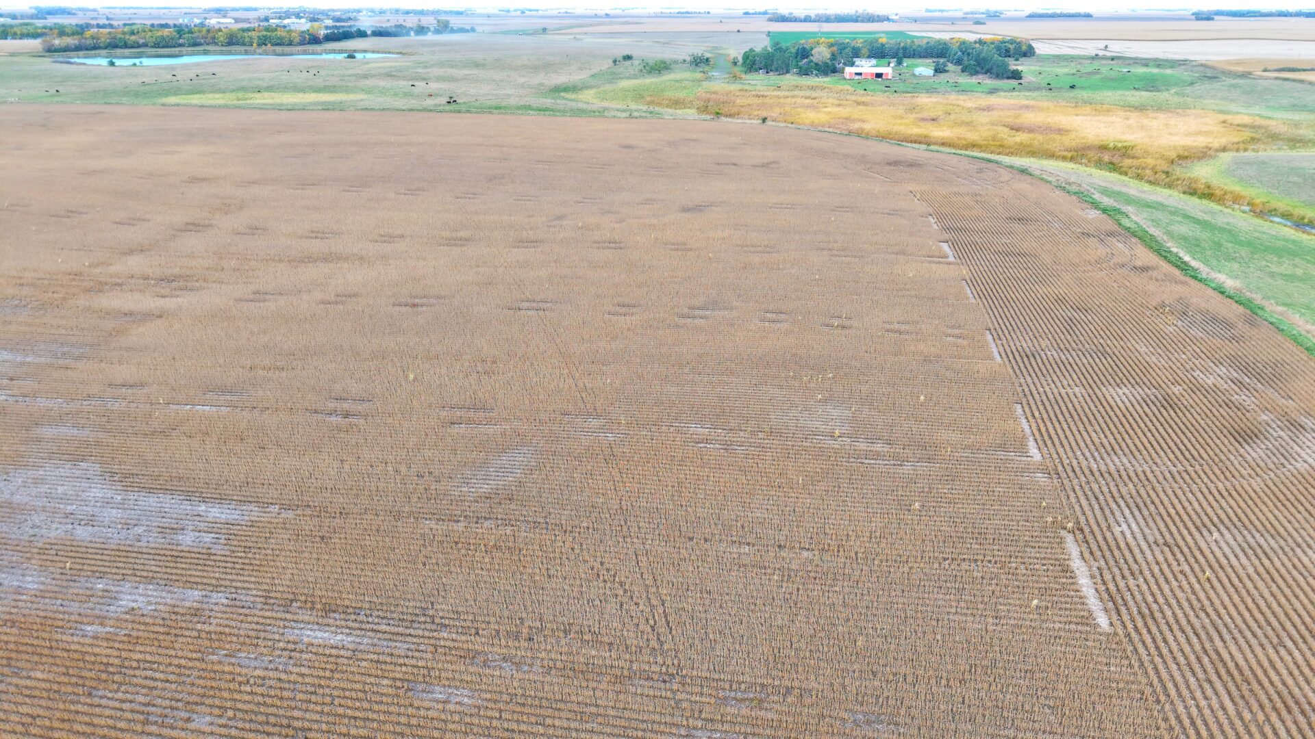 80 +/- Acres – Roberts County, SD