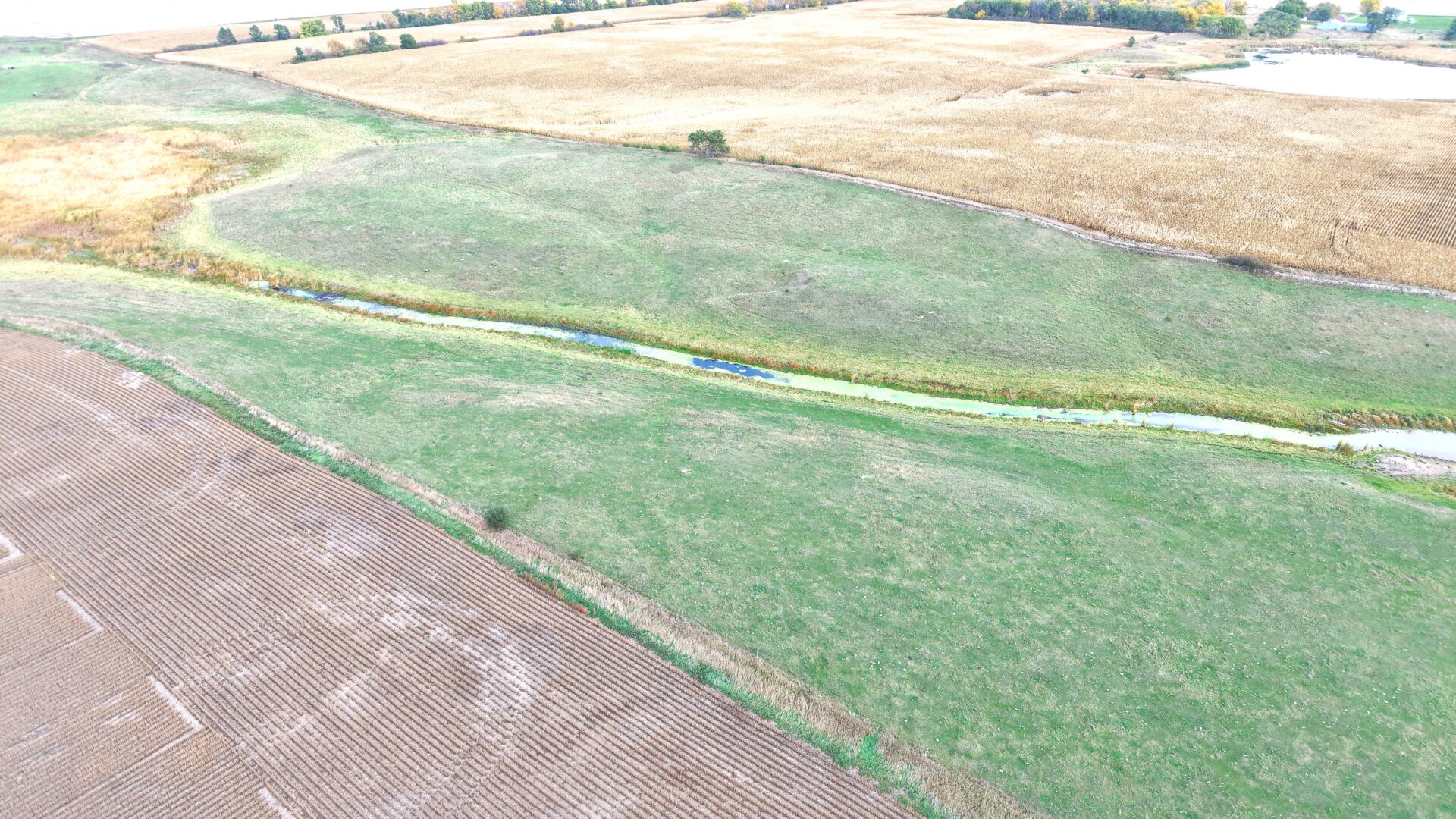 80 +/- Acres – Roberts County, SD