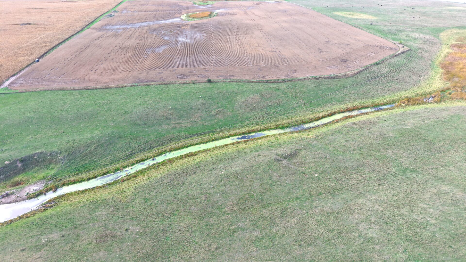80 +/- Acres – Roberts County, SD