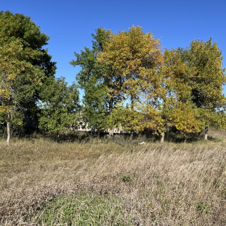 2.5 Acres – Roberts County, SD