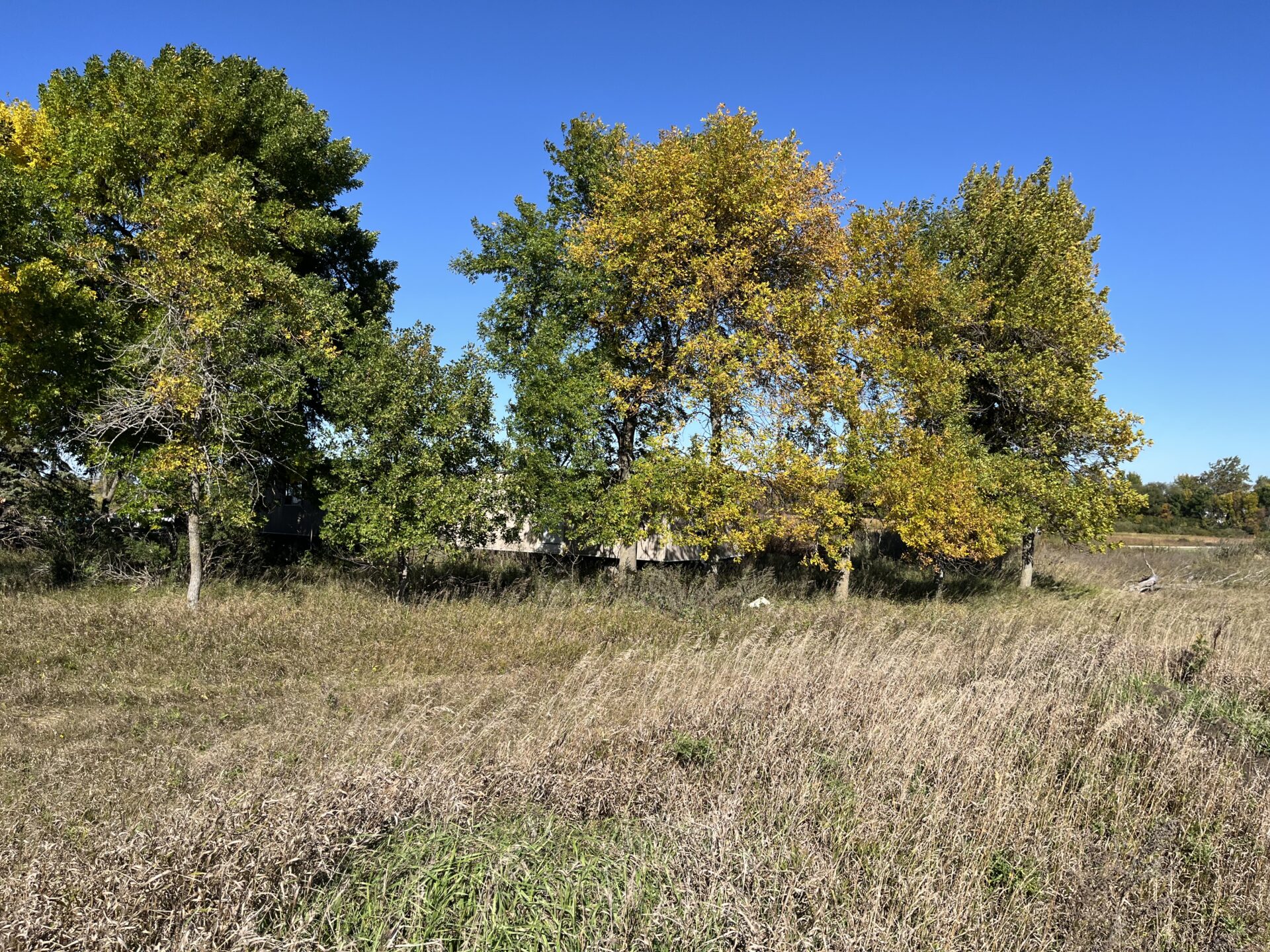 2.5 Acres – Roberts County, SD